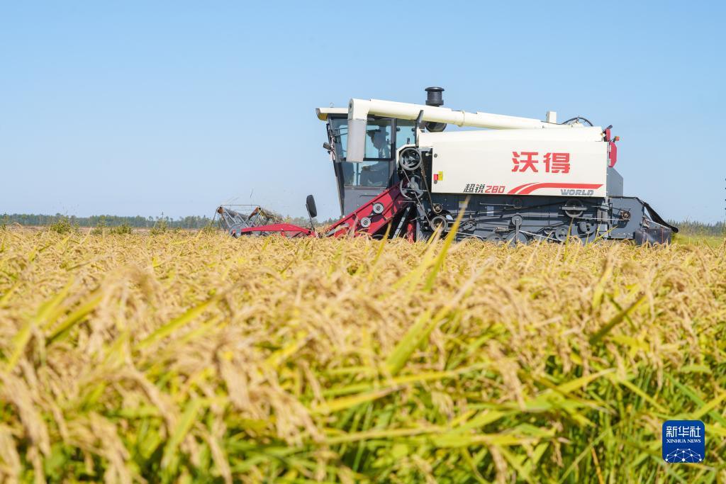 我是大富豪游戏电脑版